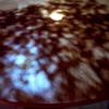 The Sun Shining Through Trees on our Kitchen Table