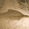 Without A Safety Net