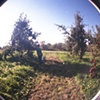 Path