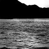 Saguaro Lake
