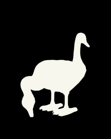 Coupland Icon: Geese