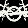 Adams Icon: Which Way