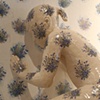 Forget me not, detail