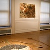 floor installation and Wind, Water, Earth, 
at the Borowsky