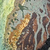 Detail of Green Gorge