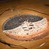Moon Boat Mandala
