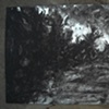 Back Cove in a Storm