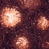 Eyes of Mud