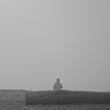 mist tint