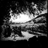 napa landscape