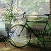 where the bicycle goes when she plays