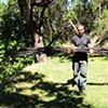 to bend as willow