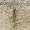 detail winter skin 1