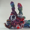Cambrian Explosion