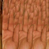 The Sound of One Hand