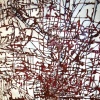 Bravo's Map
