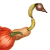 Fruit and Veggie Ostrich