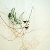 Lyrical Vine