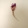 Orchid
SOLD