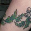 Oak leaves