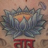 Tara's Chest