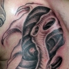 Bio Chest