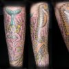 Ryan's arm