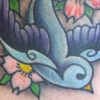 Swallow and Cherry Blossoms