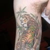 Malone tiger
