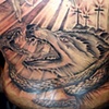 Shawn's Full Back
