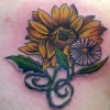 Sunflower/Daisy