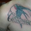 swallow and banner