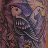 Tara's Birds