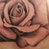 Black and Gray