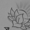 little lotus