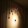 forest installation