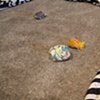 Unruffled Bloom (installation detail)
