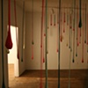 forest installation