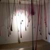 forest installation