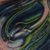 tattoo by Danny Gordey