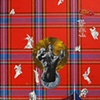 "Who's Afraid of Plaid?"