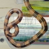 The Snake Game