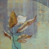 In the Wake 1