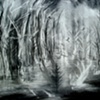 This forest has many phantom limbs