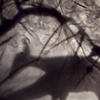 Two-headed deer obscured
