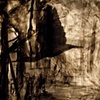 Untitled Descent