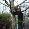Pam Roger's installing her Nest
