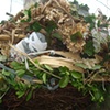 The Nest Project