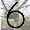 project 6: The Nest Project