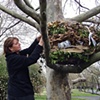 Pam Roger's installing her Nest